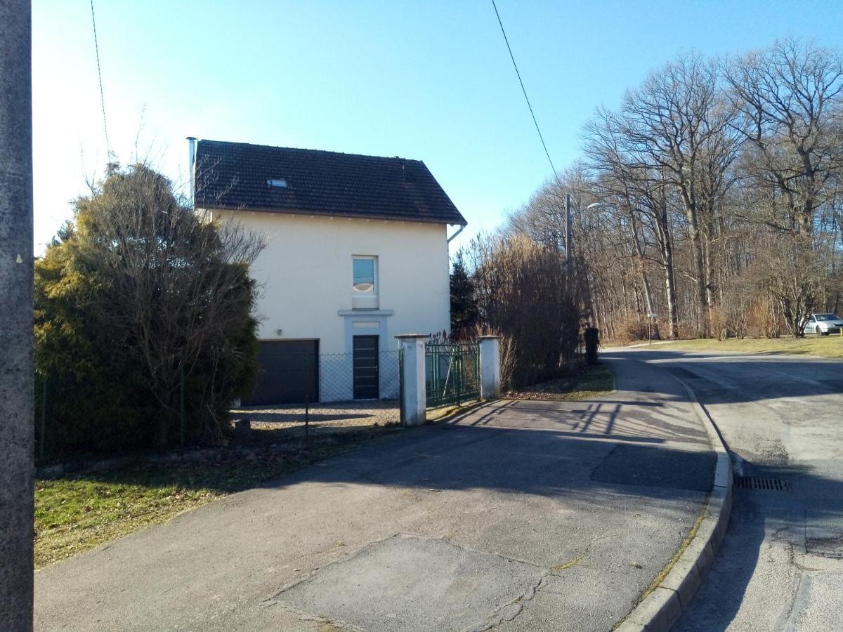 Maison Chaleureuse Proche De Gerardmer Epinal