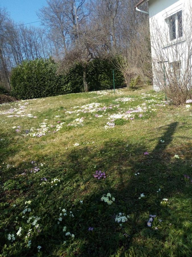 Maison Chaleureuse Proche De Gerardmer Holiday home